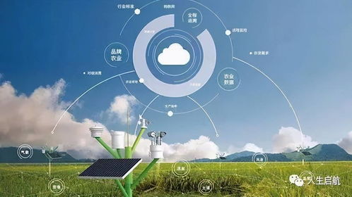 網(wǎng)絡(luò)技術(shù)開(kāi)發(fā)專業(yè)就業(yè)前景盤(pán)點(diǎn) 揭秘未來(lái)職業(yè)發(fā)展方向